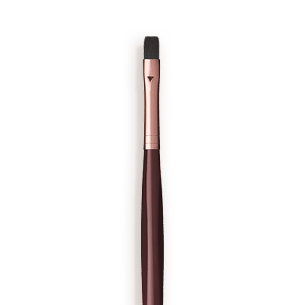 LIP BRUSH